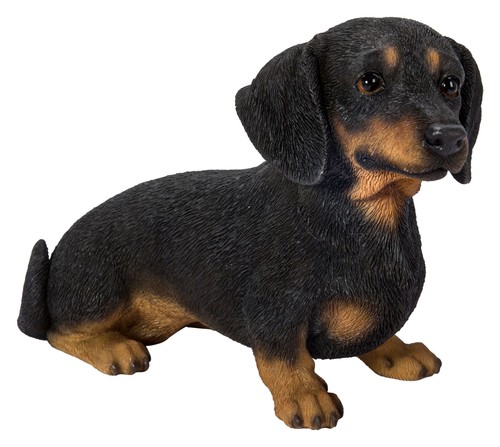 Vivid arts dachshund dog - vivid,