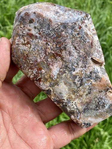 Plume agate rough - rough, ,agate