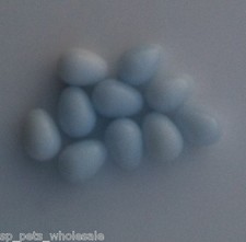 10 X CANARY DUMMY EGGS FOR