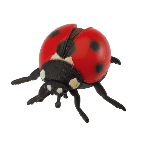 Collecta ladybird - collecta,