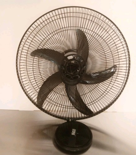 Winning star fan head - winning,