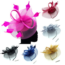 Ladies Feather Beak Clip / Aliceband Fascinator Weddings Races Royal Ascot