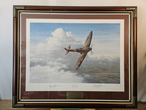 The magic flight gerald - flight,
