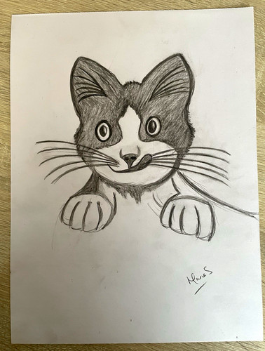 Hand drawn pencil sketch - hand-drawn,