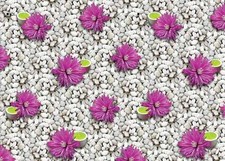 Floral Fruit Tablecloth PVC