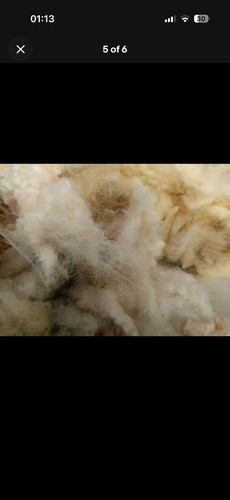 Natural garden insulation - garden,
