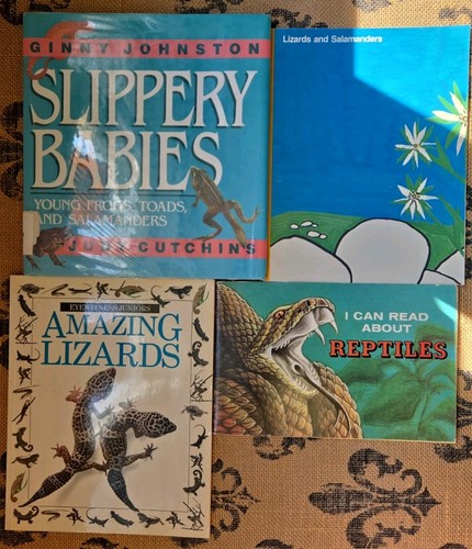 Reptiles lizards and - reptiles,, frogs