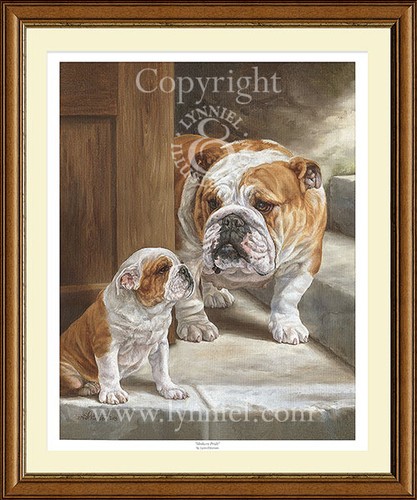 British bulldogs limited - british,