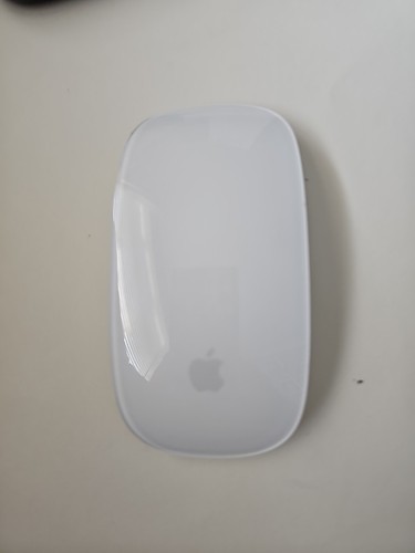 Apple magic mouse - magic,