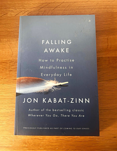 Jon kabat zinn - jon, falling