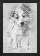 Jack Russell puppy 3 month