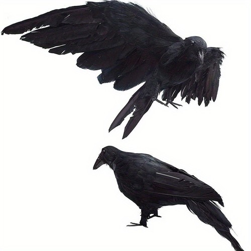 Halloween fake black raven - halloween,