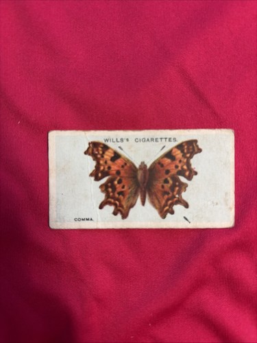 Vintage will cigarettes - vintage, will’s