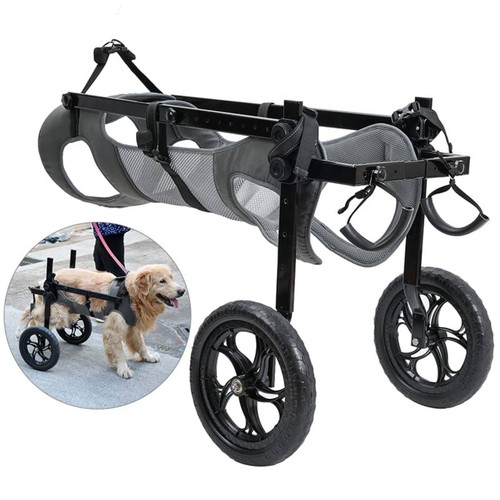 Disabled pet wheelchair - disabled,