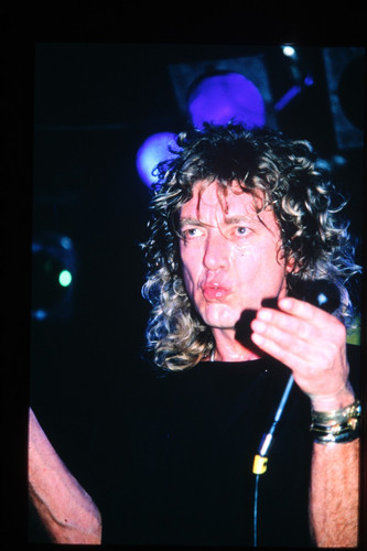 Robert plant photo - plant,