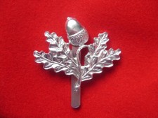 CAP BADGE 307 (South