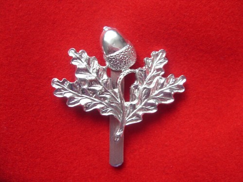 Cap badge 307 south - cap,