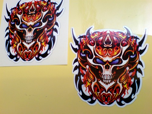 Skull firestorm fairing - skull,
