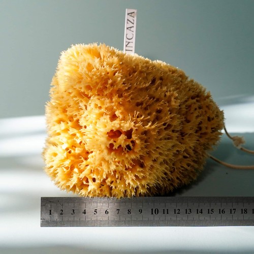 18cm extra large natural - 16-18cm,