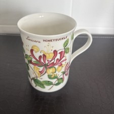 Crown Trent Wild Rose Rosa