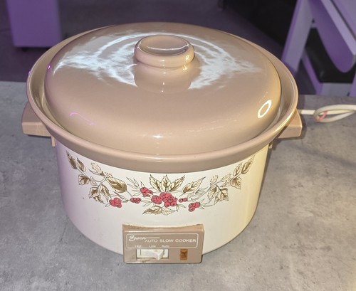 Swan slow cooker vintage - swan,
