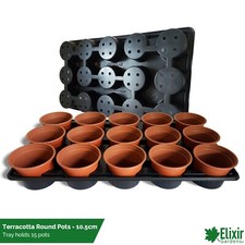 Square & Round Seedling &