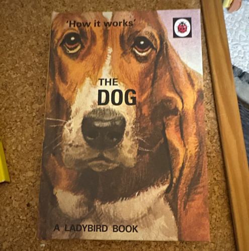 Ladybird how works the dog - ladybird, it