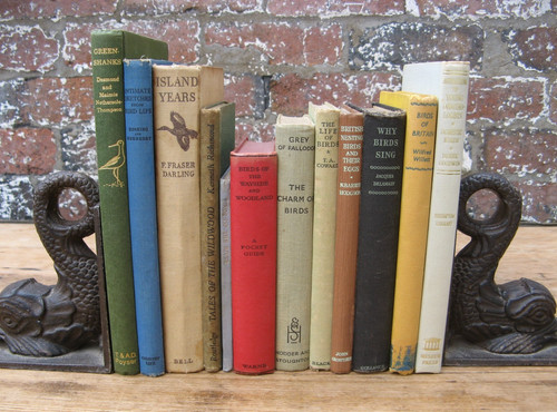 Vintage bird books - vintage,