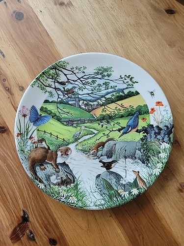 Wedgwood bone china plate - wedgwood,