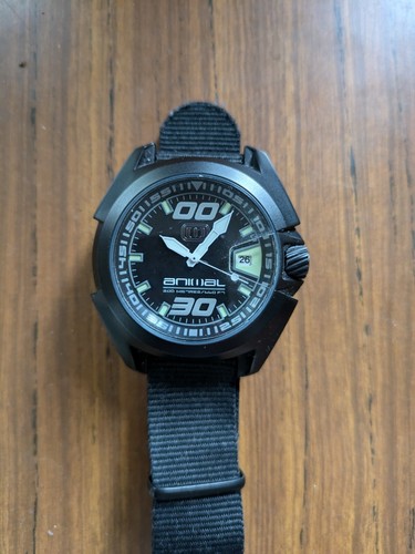 Animal watch - animal,