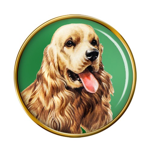 American cocker spaniel dog - cocker,
