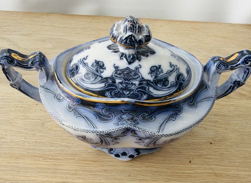Royal staffordshire iris - royal,