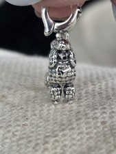 Poodle/Labradoodle/Bichon