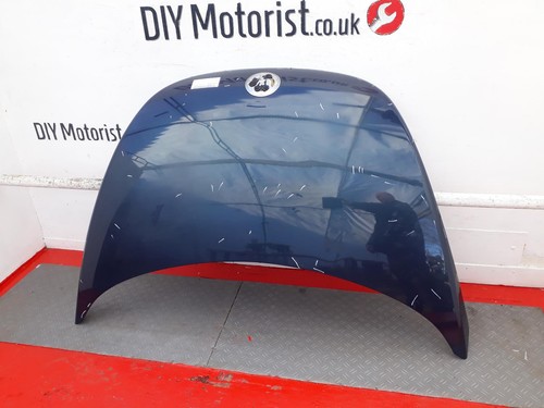Volkswagen beetle bonnet - volkswagen,
