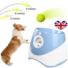Dog Ball Throwing Machine Dogs