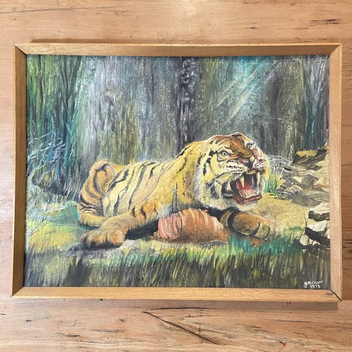 Vintage 70s tiger feeding - 70s,
