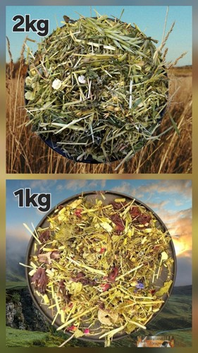 2kg natures green guinea pig - natures,