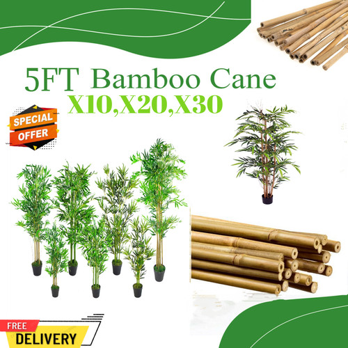 Bamboo canes garden - canes,