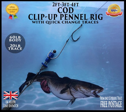 Sea rigs cod clip up - sea,
