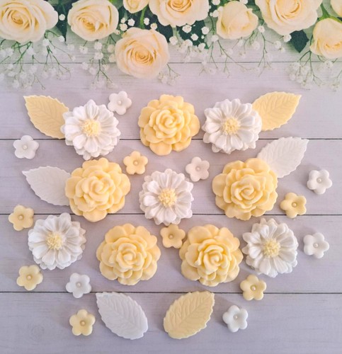 Yellow white edible - yellow/,