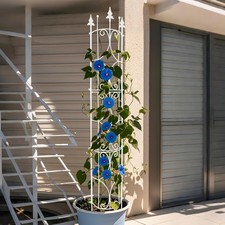 Garden Trellis 2 Pack 182 cm H x 31 cm W Metal Plant Trellis Indoor/Outdoor Meta