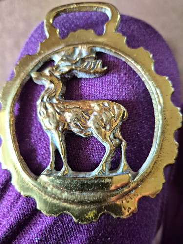 Brass horse brasses hanger - brasses,