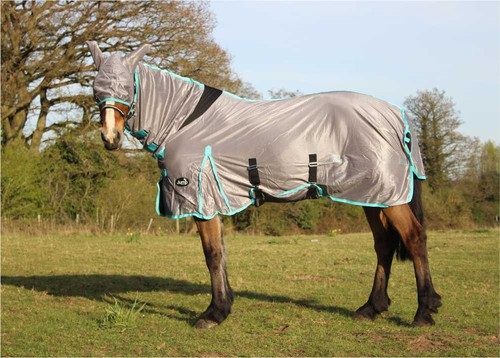 Horse fly rug all - fly,