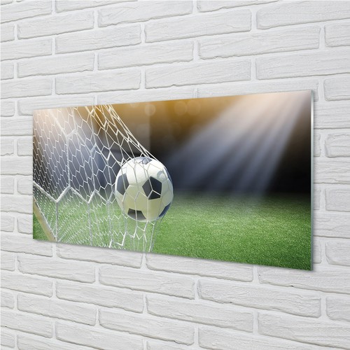 Tulup acrylic glass 100x50 - acrylic,