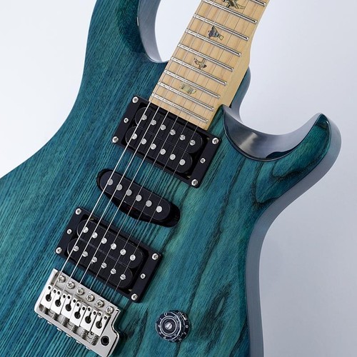 Paul reed smith prs - paul, swamp