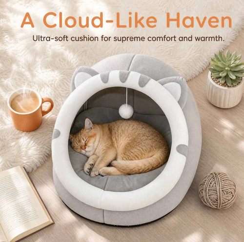 Pet cute cat - pet, warm