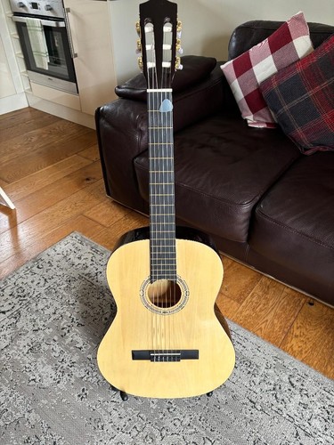 Elevation acoustic guitar - acoustic,