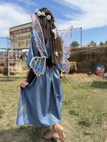Magical fairy wings - wings, for