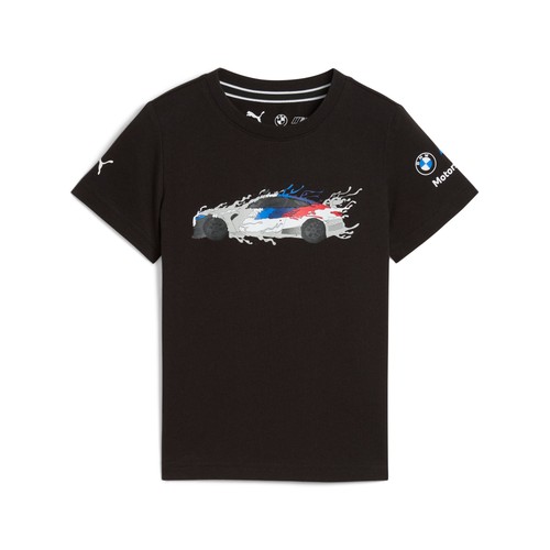Bmw genuine motorsport - m,