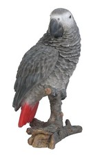 Vivid arts african grey - arts, parrot